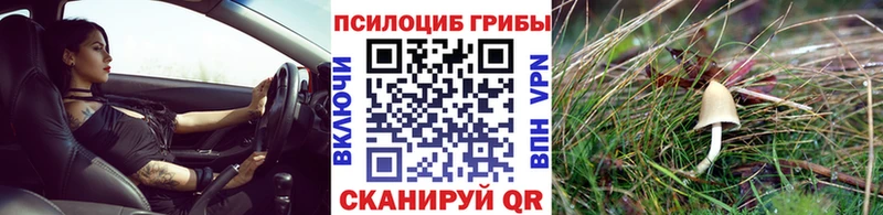 Псилоцибиновые грибы Magic Shrooms  Купить закладки  Бодайбо 